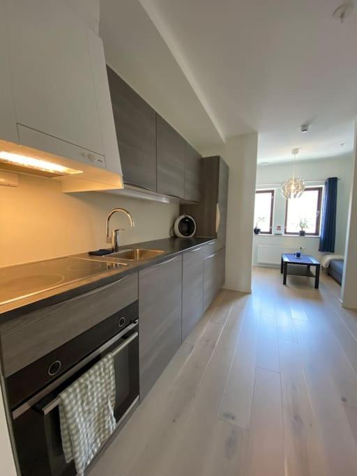 Moderne Leilighet Midt I Sentrum Av Fredrikstad Esterno foto