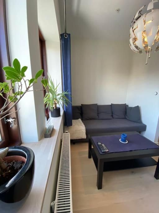 Moderne Leilighet Midt I Sentrum Av Fredrikstad Esterno foto